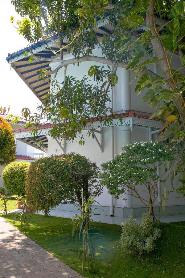 Alma Beach Hotel Weligama Buitenkant foto